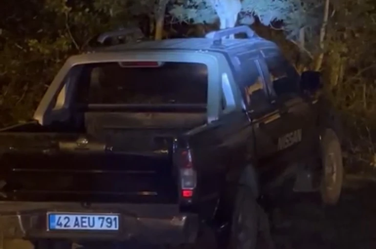 Yüksekova’da dost canlısı tilki: Önce arabanın üzerine çıkıyor, sonra elle besleniyor