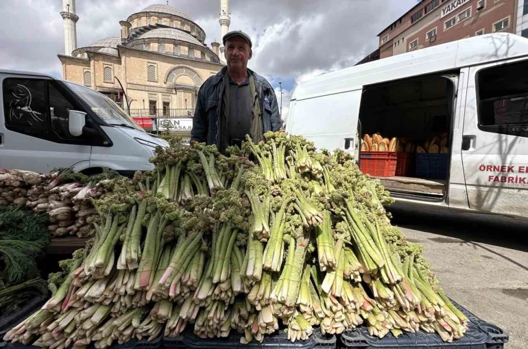 Yüksekova’da ‘yayla muzu’ mesaisi başladı 