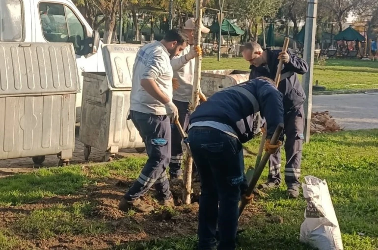 Yunusemre’de ağaçlandırma çalışmaları sürüyor 