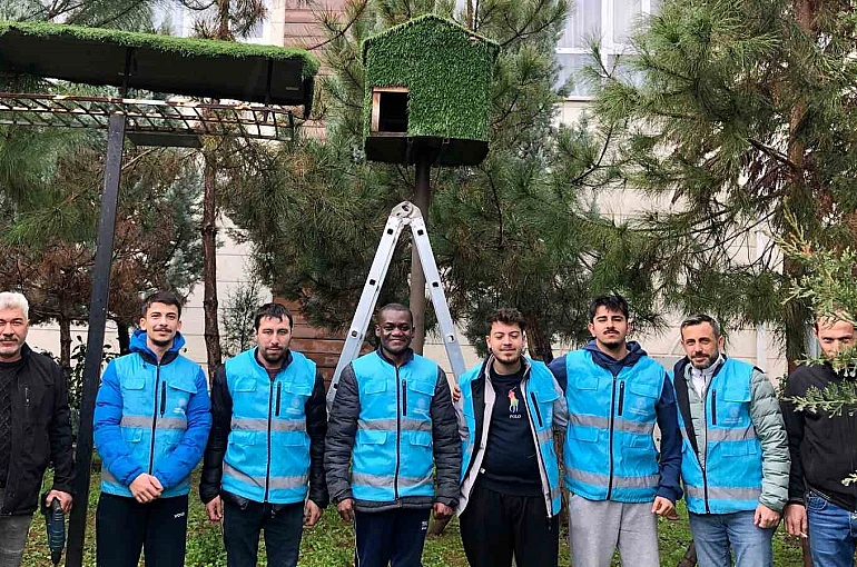 Yurt öğrencileri kuşlar için ev yaptılar 