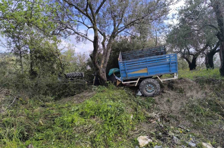 Zeytin bahçesine uçan patpatın sürücüsü öldü 