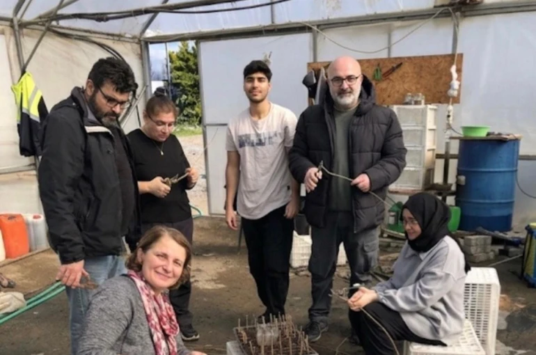 Zeytincilik öğrencileri BAÇEM’de uygulamalı eğitim aldı 