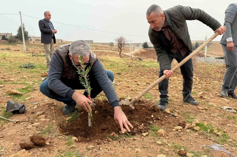 Zeytinli Mahallesi sıfır atık köyü olma yolunda ilerliyor 