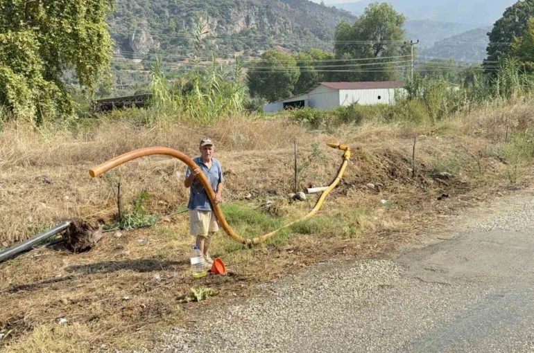 Zeytinlikleri kül oldu, gözyaşını içine akıtıp yangına su taşıdı 