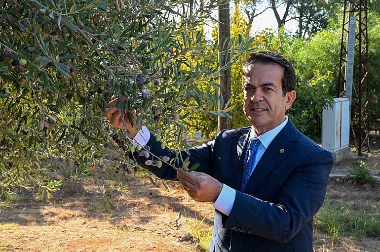 Zeytinyağı kalite yarışması için son gün 15 Ocak 