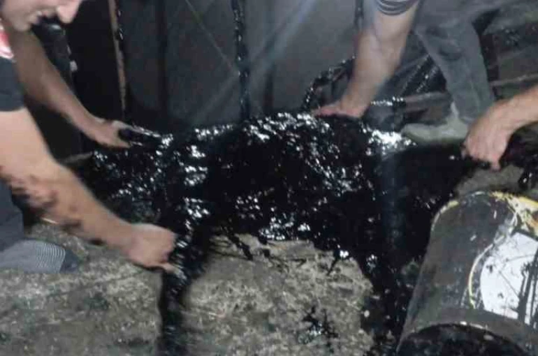 Zift kazanına düşen köpek yarım saatlik müdahale sonrası kurtarıldı 