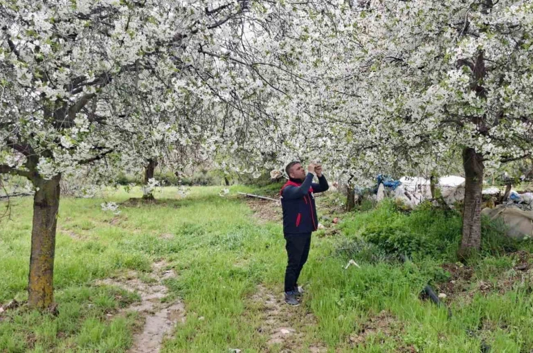 Zirai don uyarısı yapılan bölgelerde hasar tespit çalışması yapıldı 