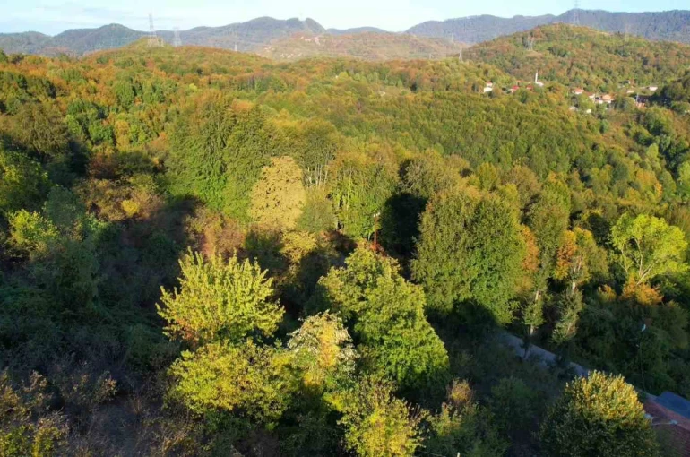 Zonguldak ormanlarında sonbahar renkleri havadan görüntülendi 