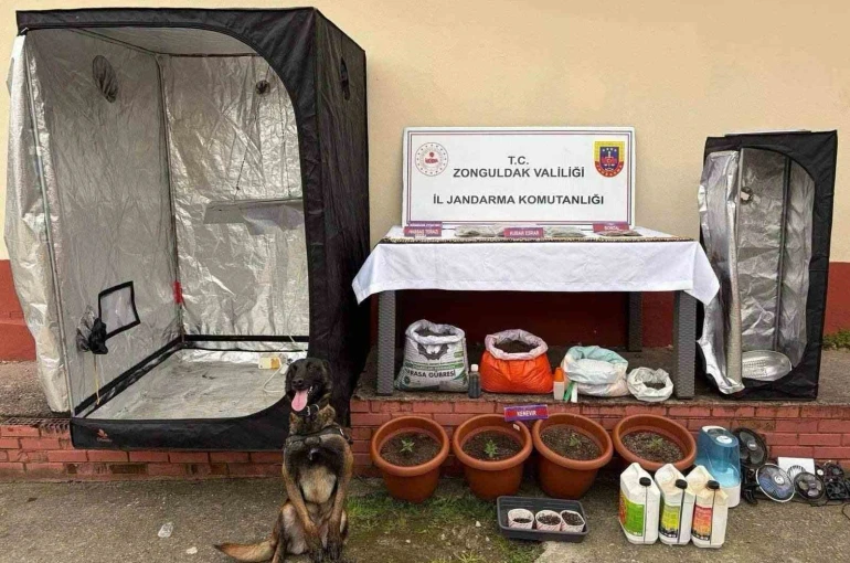 Zonguldak’ta jandarmanın uyuşturucu operasyonunda 2 şüpheli tutuklandı