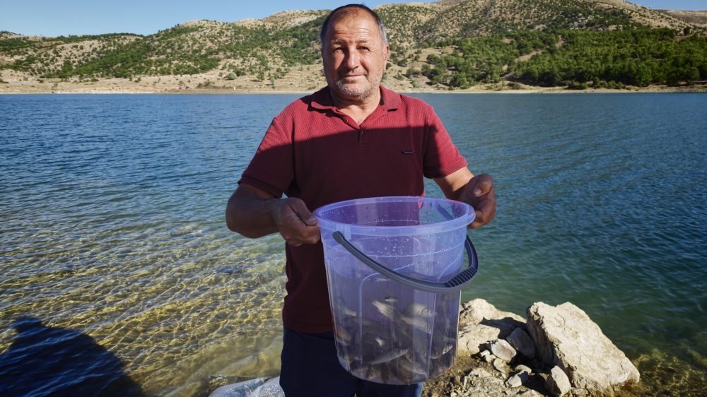 AW785518_03.jpg
