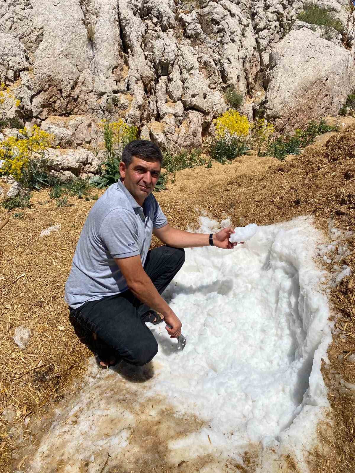 Haber 1