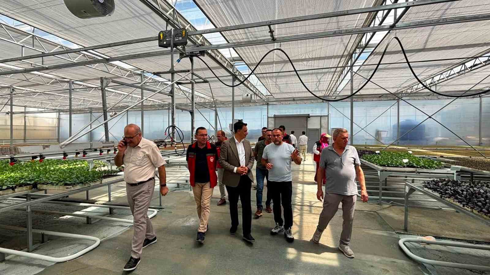 Haber 1