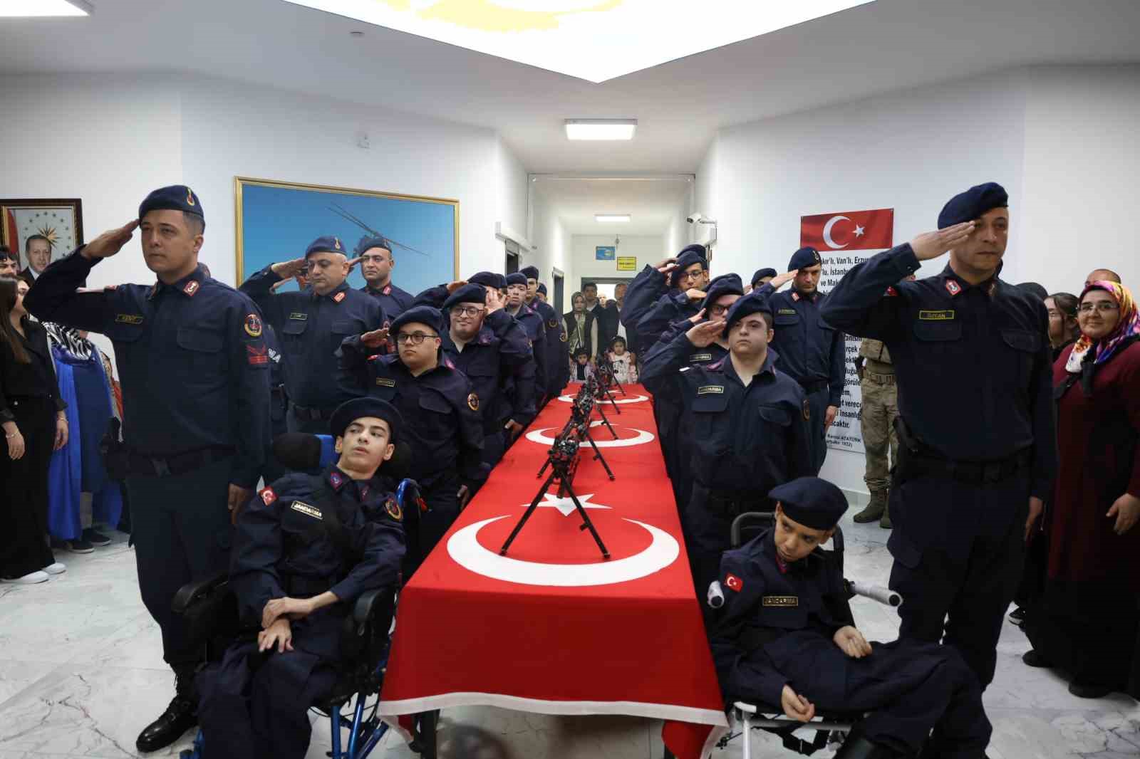 Haber 1