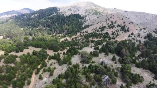 Zorlu yolları aşıp zirvedeki Türk bayrağını değiştirdiler
